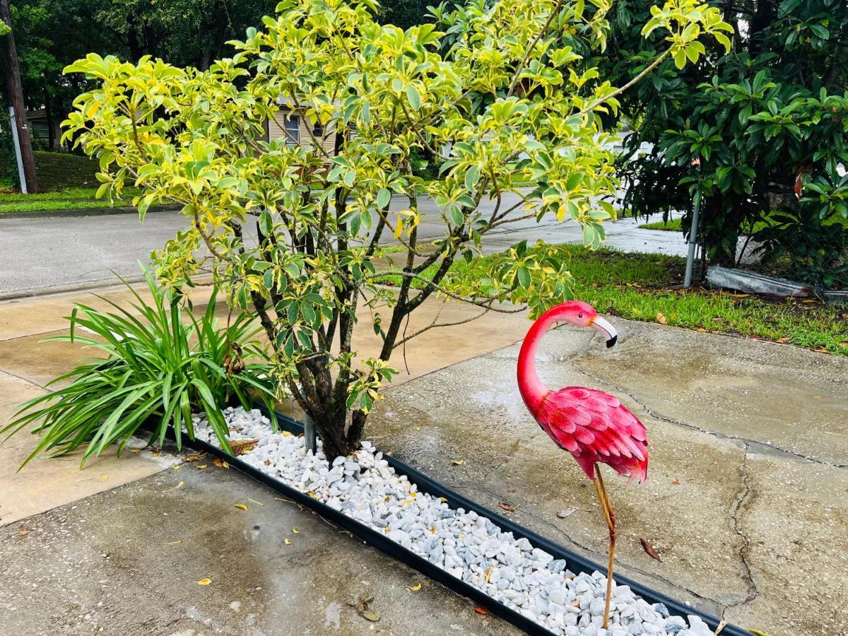 3Bdrm Fruit Tree Home Near Downtown オーランド エクステリア 写真